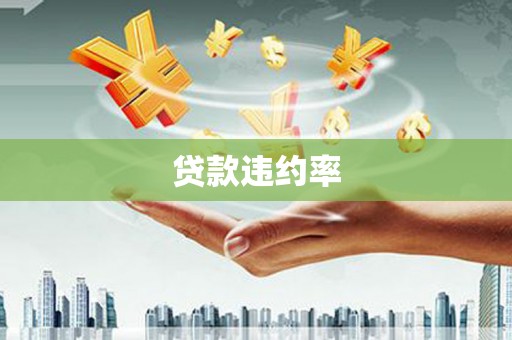 滑县贷款违约率