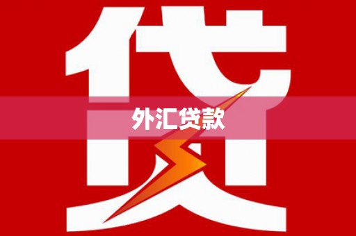 滑县外汇贷款