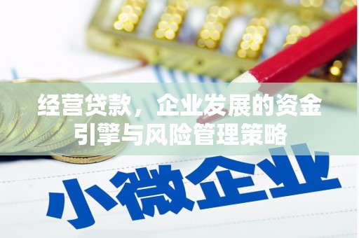 滑县经营贷款，企业发展的资金引擎与风险管理策略