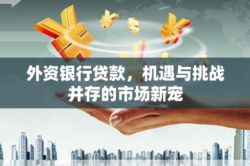 滑县外资银行贷款，机遇与挑战并存的市场新宠