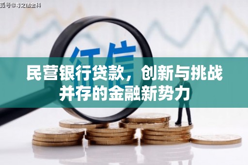 滑县民营银行贷款，创新与挑战并存的金融新势力