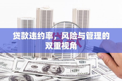 滑县贷款违约率，风险与管理的双重视角