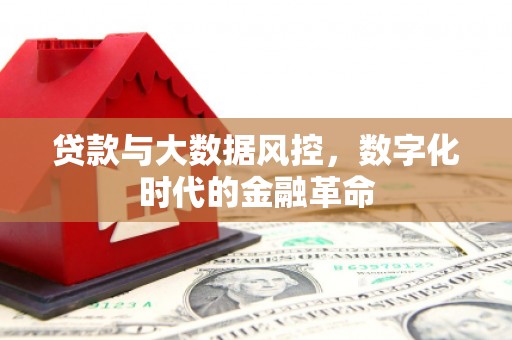 滑县贷款与大数据风控，数字化时代的金融革命