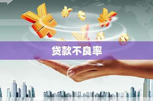 滑县贷款不良率