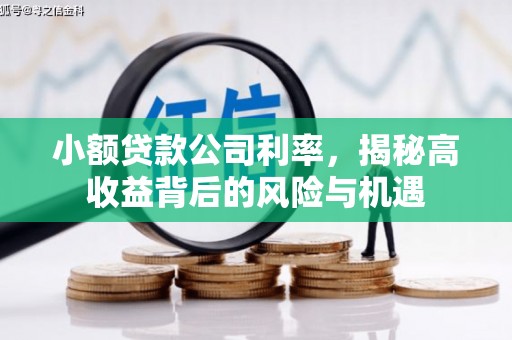 滑县小额贷款公司利率，揭秘高收益背后的风险与机遇