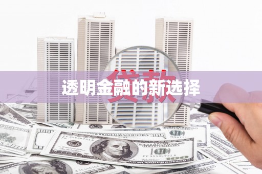 滑县透明金融的新选择
