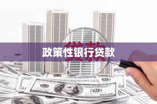 滑县政策性银行贷款