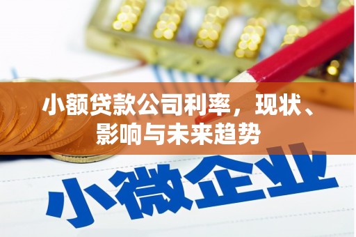 滑县小额贷款公司利率，现状、影响与未来趋势