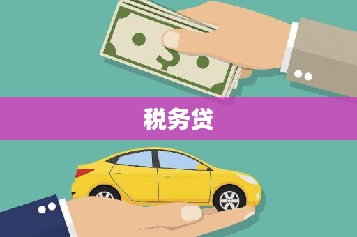 滑县税务贷