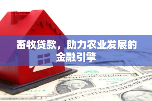 滑县畜牧贷款，助力农业发展的金融引擎