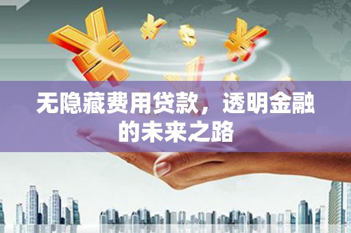 滑县无隐藏费用贷款，透明金融的未来之路