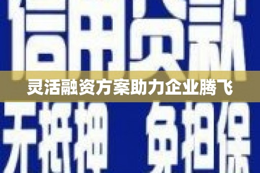 滑县灵活融资方案助力企业腾飞