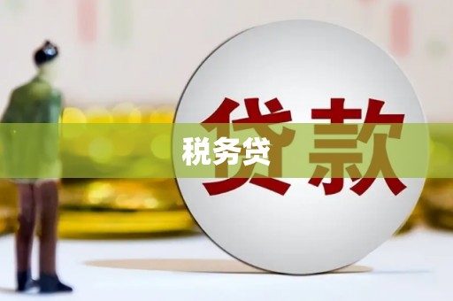 滑县税务贷