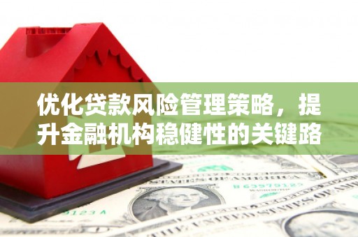 滑县优化贷款风险管理策略，提升金融机构稳健性的关键路径