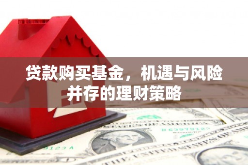 滑县贷款购买基金，机遇与风险并存的理财策略