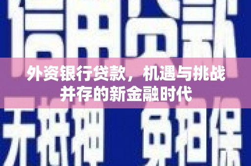 滑县外资银行贷款，机遇与挑战并存的新金融时代