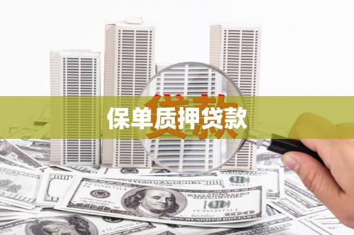滑县保单质押贷款