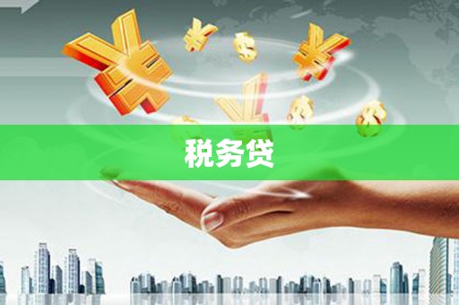 滑县税务贷