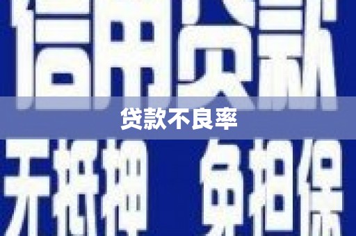 滑县贷款不良率