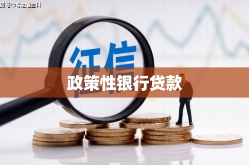 滑县政策性银行贷款