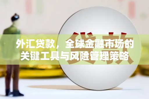 滑县外汇贷款，全球金融市场的关键工具与风险管理策略