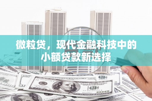 滑县微粒贷，现代金融科技中的小额贷款新选择