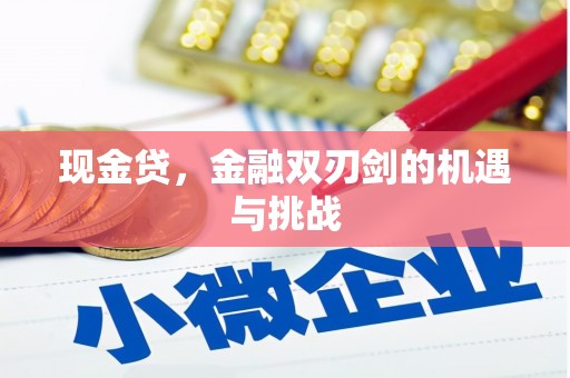 滑县现金贷，金融双刃剑的机遇与挑战