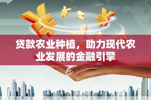 滑县贷款农业种植，助力现代农业发展的金融引擎