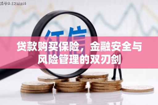 滑县贷款购买保险，金融安全与风险管理的双刃剑