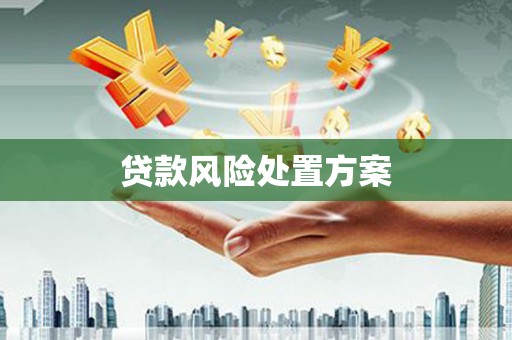 滑县贷款风险处置方案