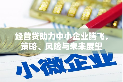 滑县经营贷助力中小企业腾飞，策略、风险与未来展望