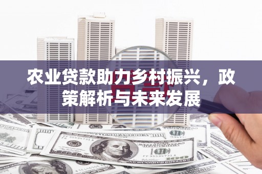 滑县农业贷款助力乡村振兴，政策解析与未来发展