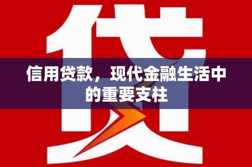 滑县信用贷款，现代金融生活中的重要支柱