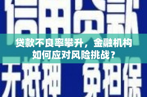 滑县贷款不良率攀升，金融机构如何应对风险挑战？