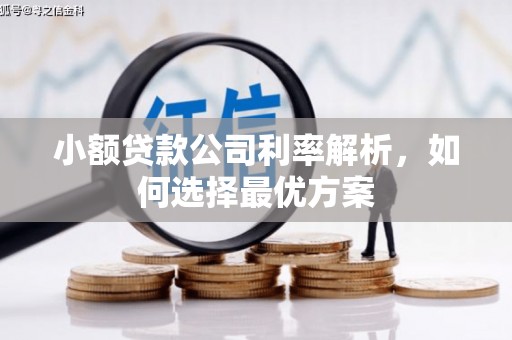 滑县小额贷款公司利率解析，如何选择最优方案