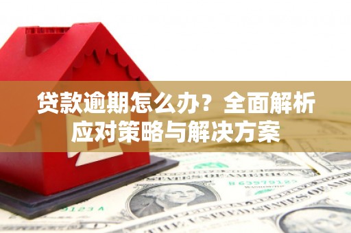 滑县贷款逾期怎么办？全面解析应对策略与解决方案