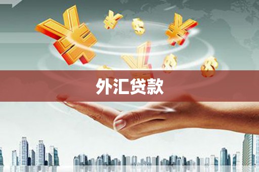 滑县外汇贷款