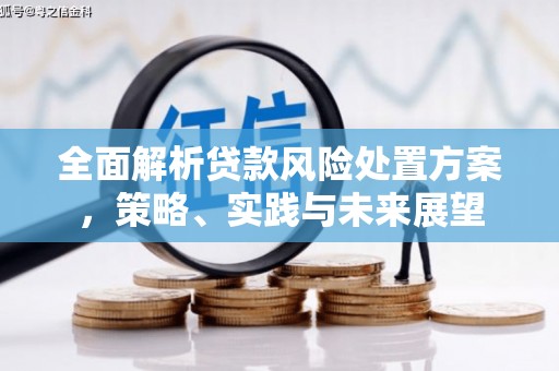 滑县全面解析贷款风险处置方案，策略、实践与未来展望