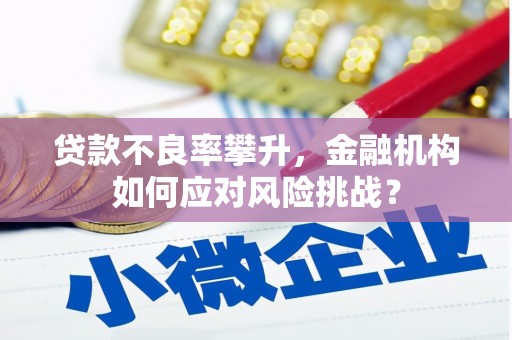 滑县贷款不良率攀升，金融机构如何应对风险挑战？
