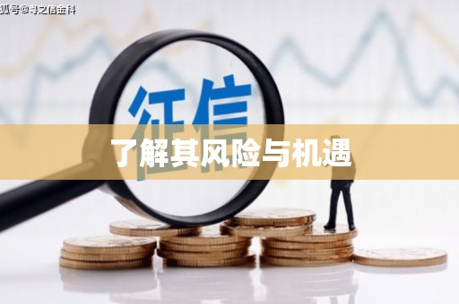 滑县了解其风险与机遇