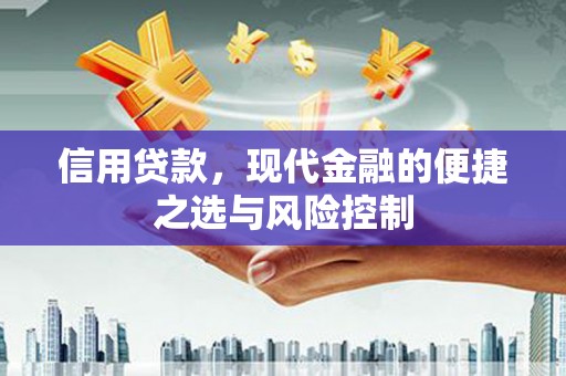 滑县信用贷款，现代金融的便捷之选与风险控制