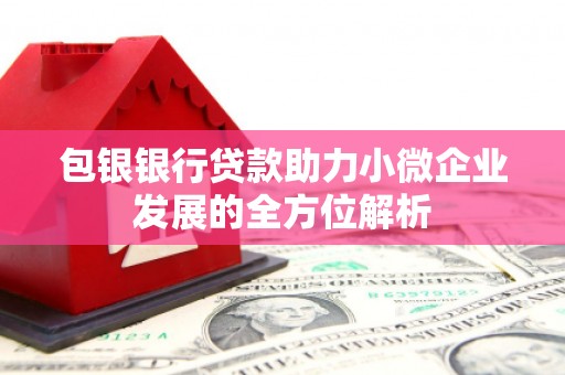 滑县包银银行贷款助力小微企业发展的全方位解析