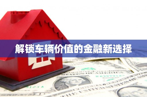 滑县解锁车辆价值的金融新选择