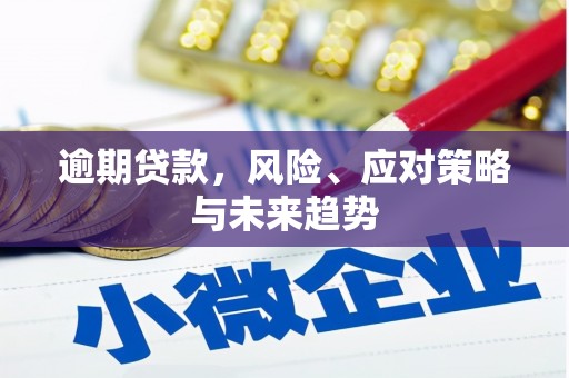 滑县逾期贷款，风险、应对策略与未来趋势
