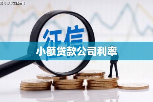 滑县小额贷款公司利率