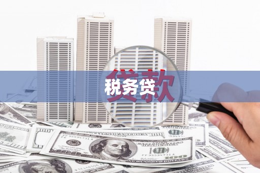 滑县税务贷