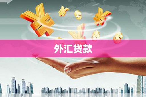 滑县外汇贷款