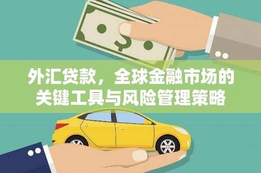 滑县外汇贷款，全球金融市场的关键工具与风险管理策略