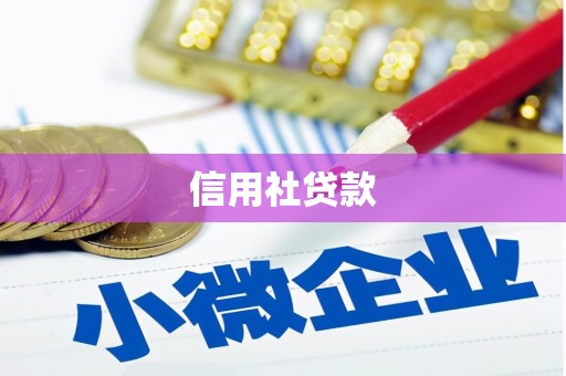 滑县信用社贷款