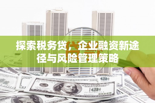 滑县探索税务贷，企业融资新途径与风险管理策略